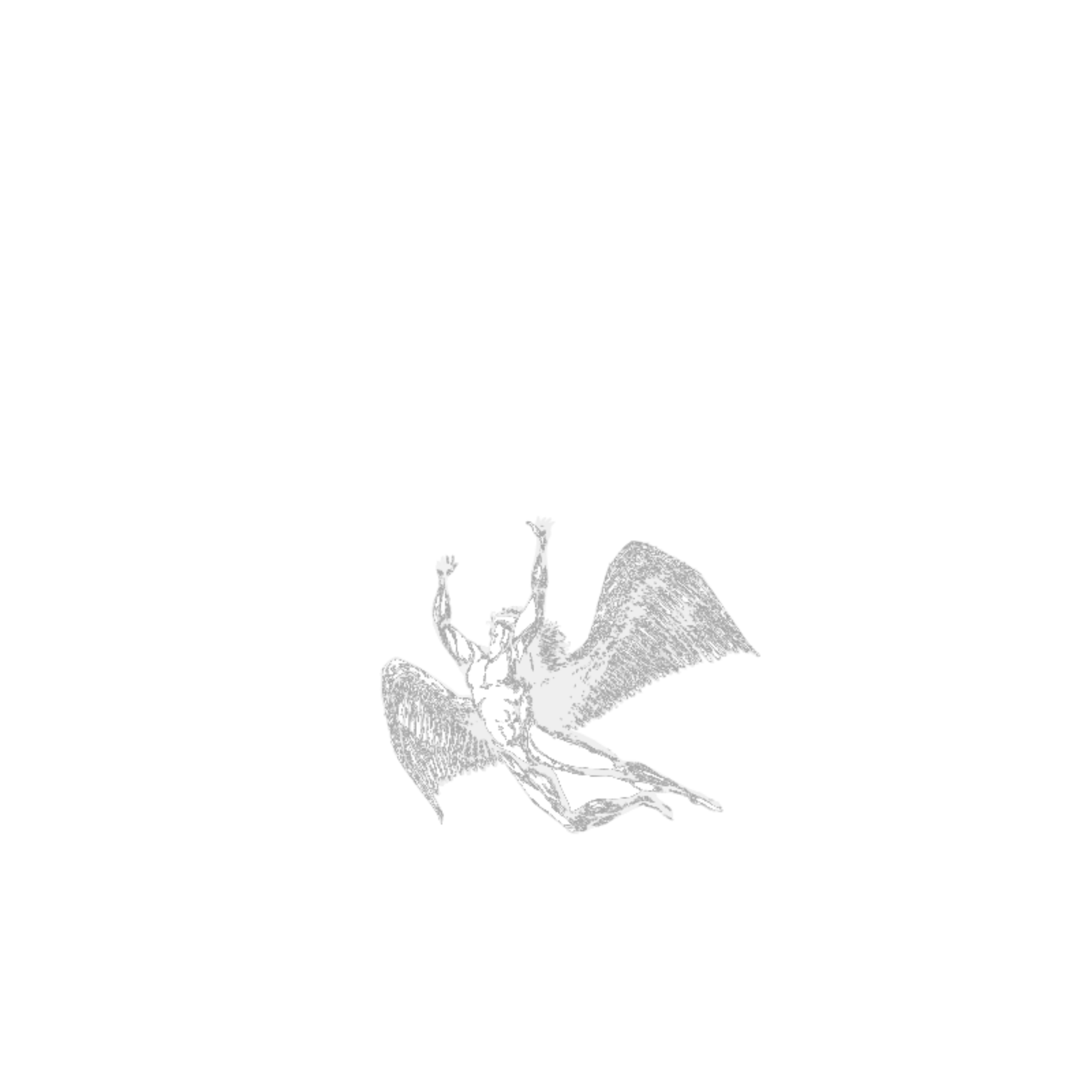 Zed Leppelin Dyslexic Tribute